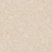網(wǎng)站后臺管理系統